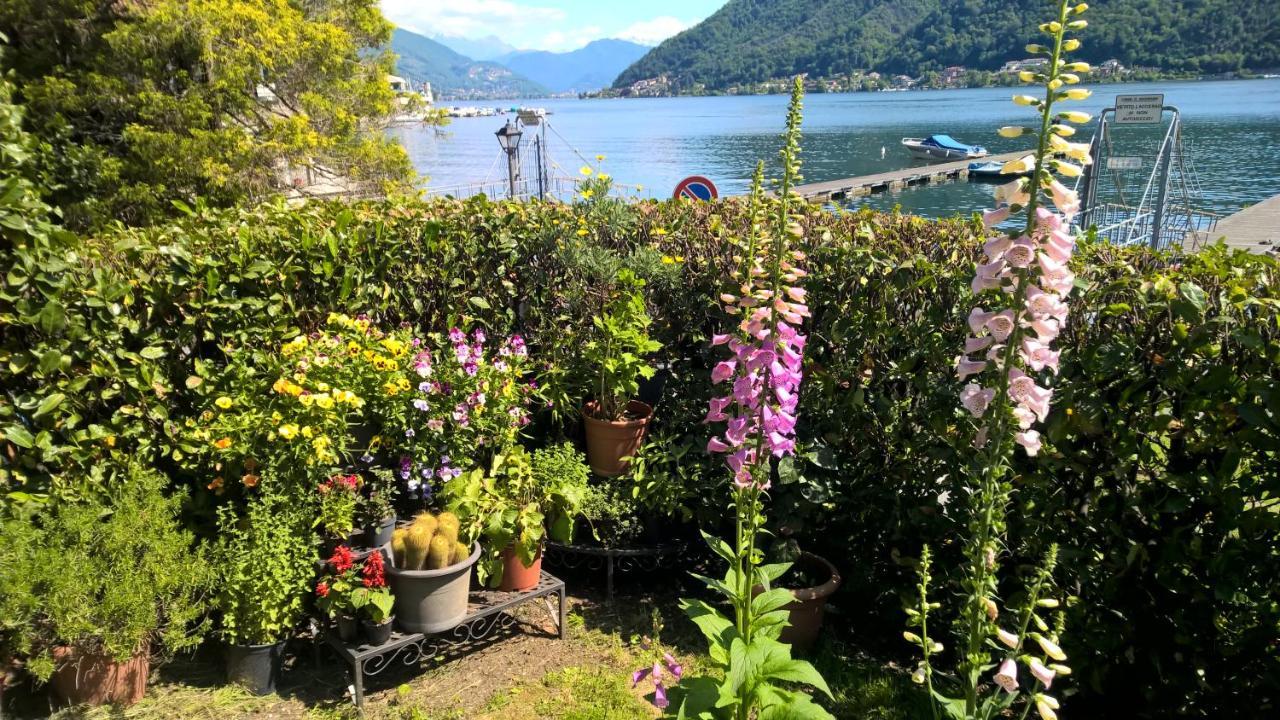 Apartment Lac Brusimpiano Buitenkant foto